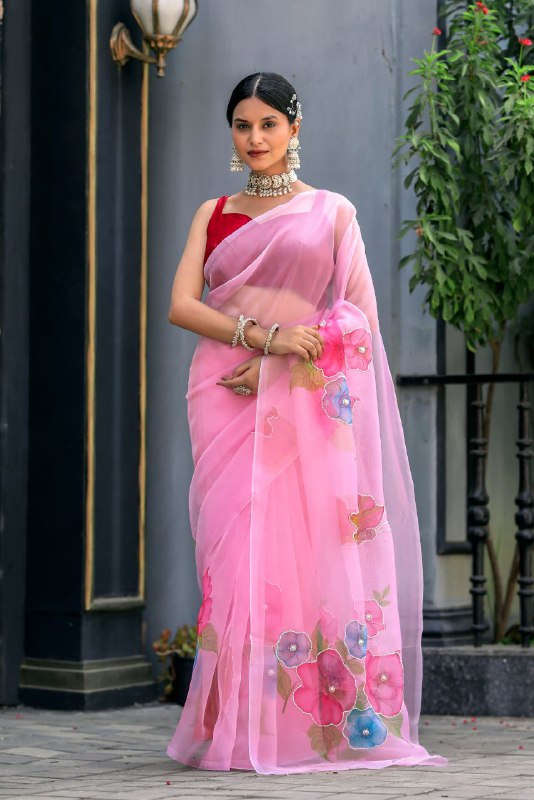 Soft pure organza handwork sarees