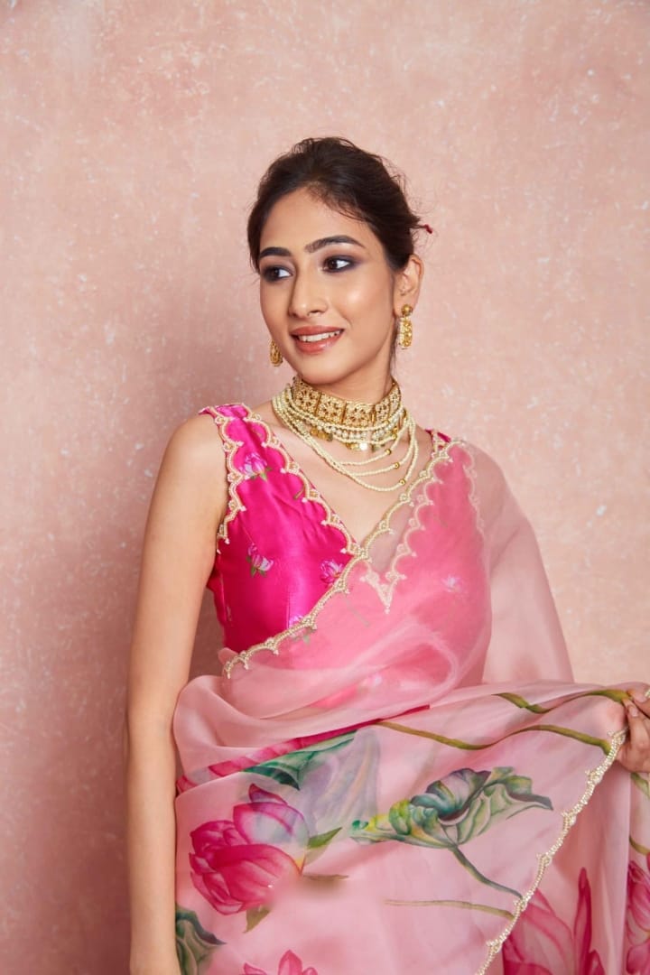 Pure Organza Silk Hand-Embroidered Saree