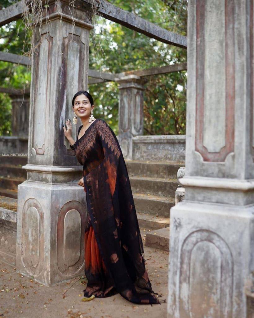 Orange and Black Banarasi Litchi Silk Saree With Blouse Piece